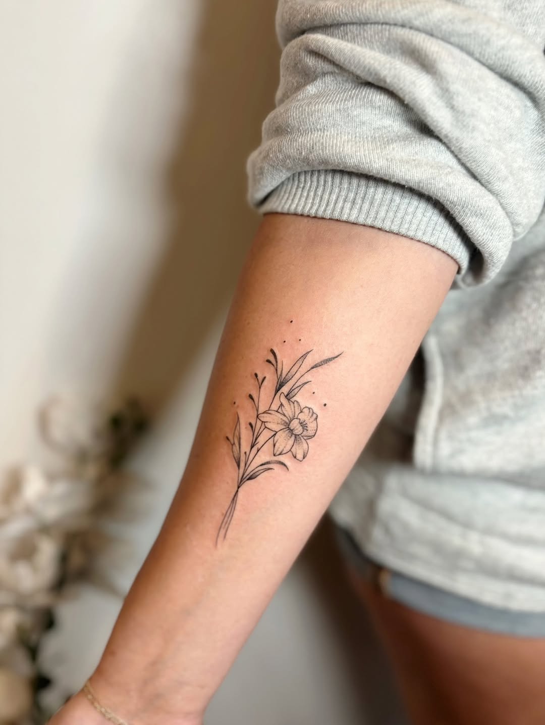 Nature, Animal