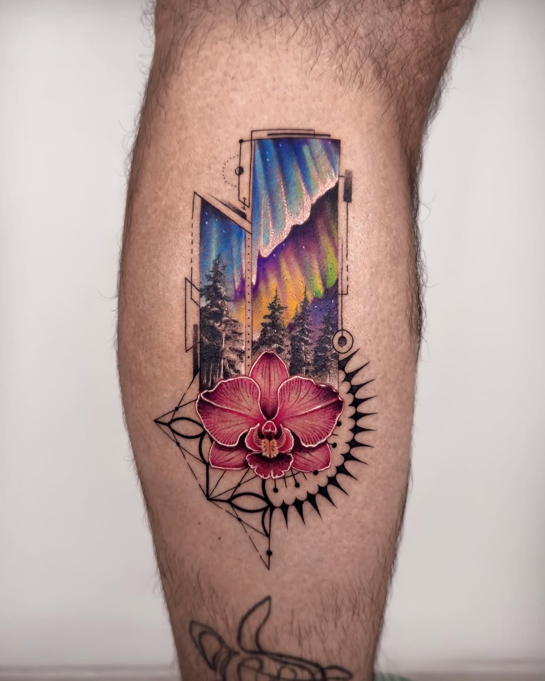 Flower, 난초