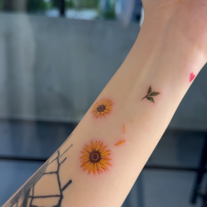 Flower, 해바라기