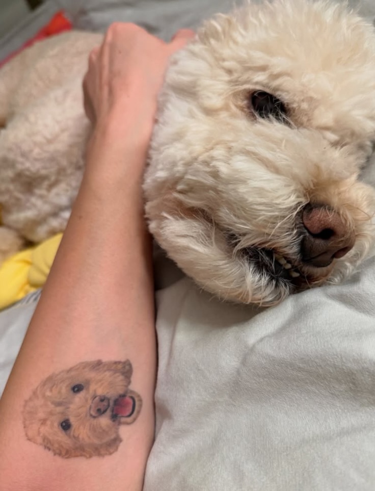 hnnhtattoo