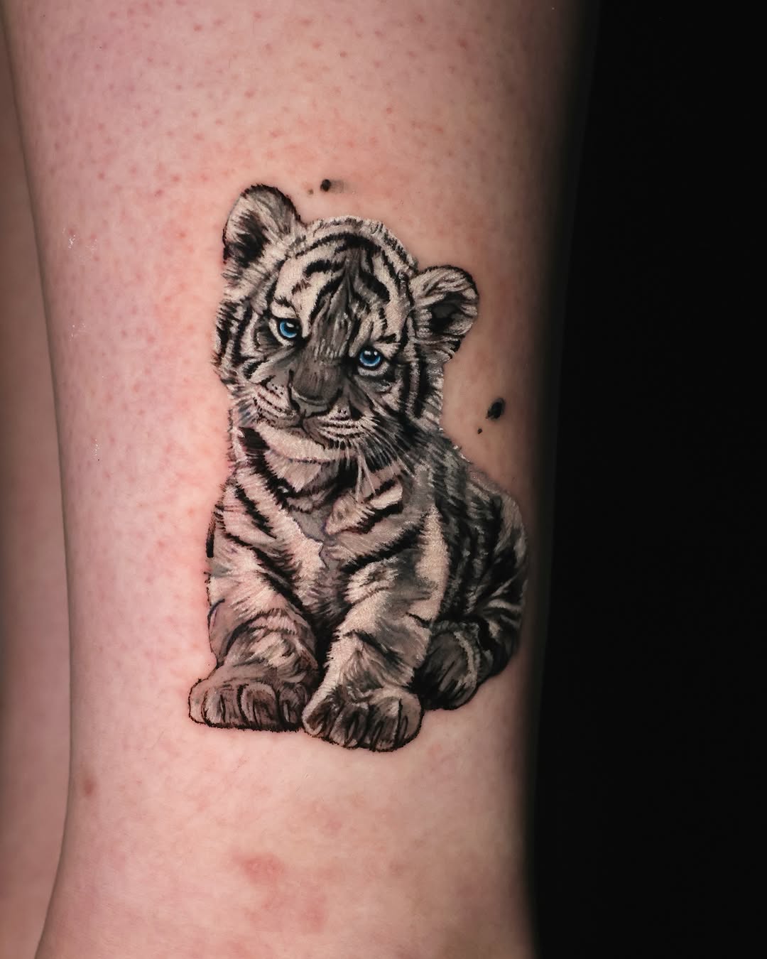Tiger, 중국 호랑이