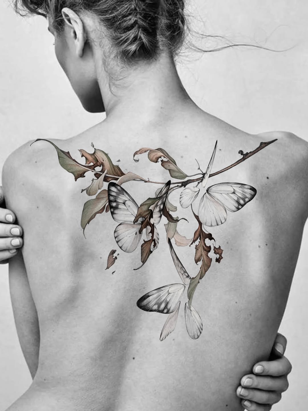 Nature, Animal