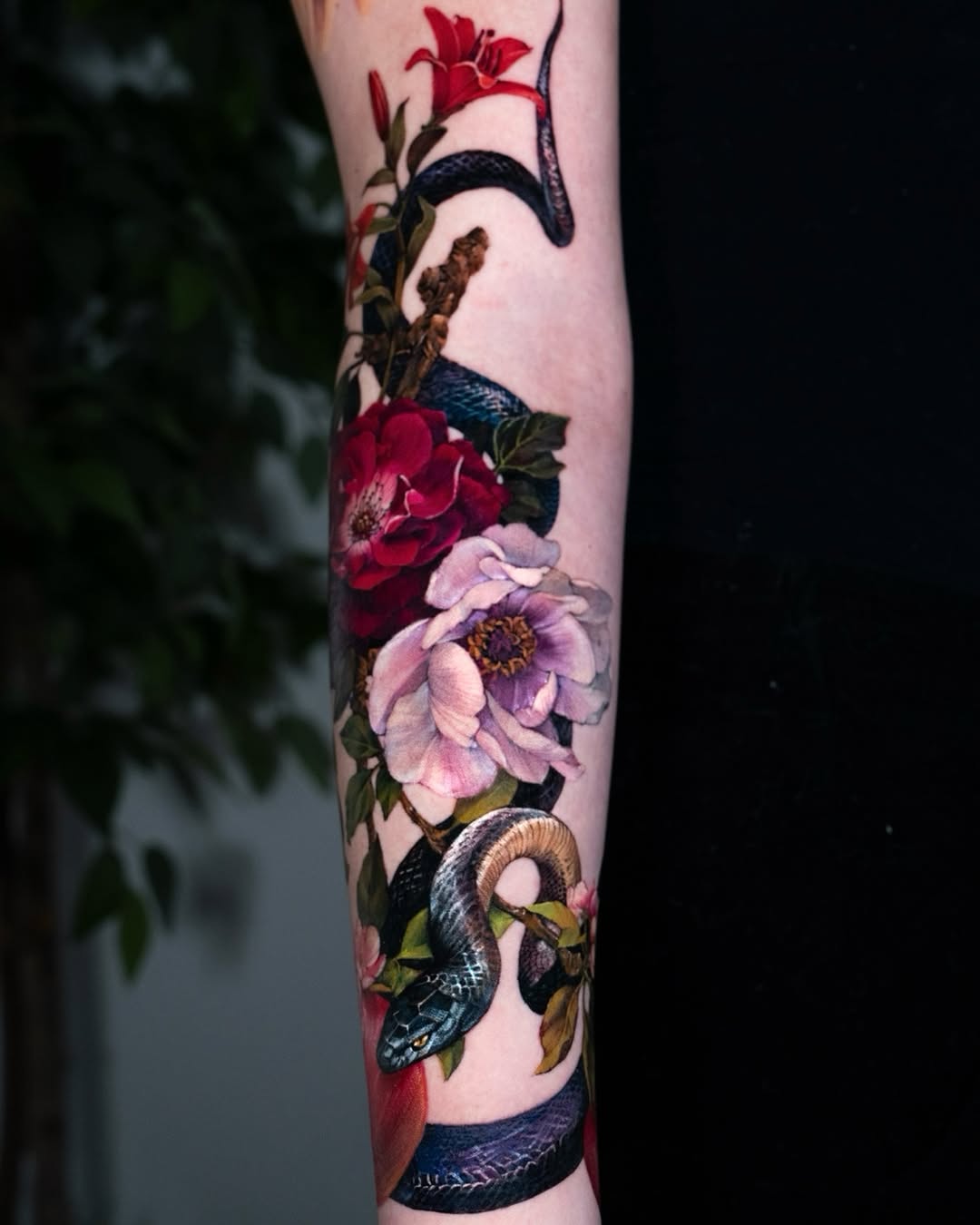 Flower, Rose