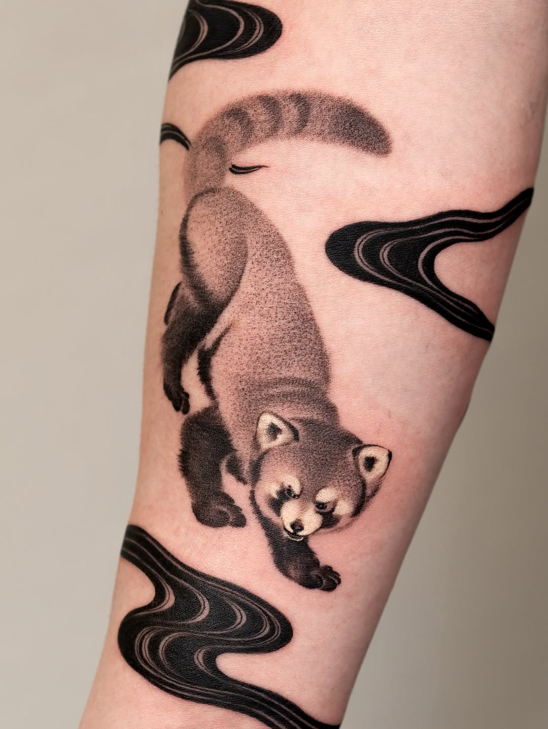 Animal