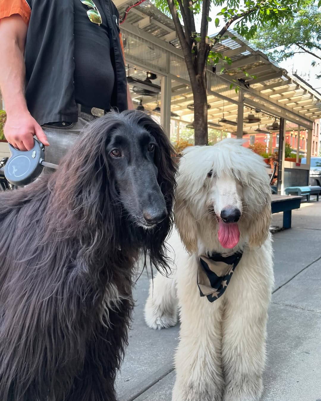 snuffy.nyc