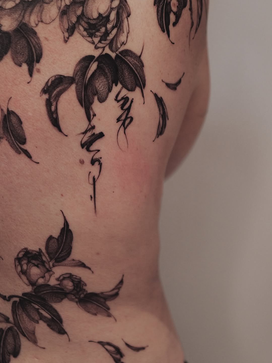 Flower, Nature, Rose