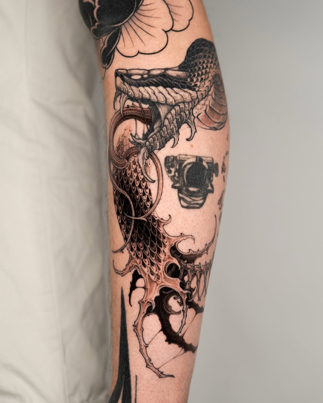 Dragon