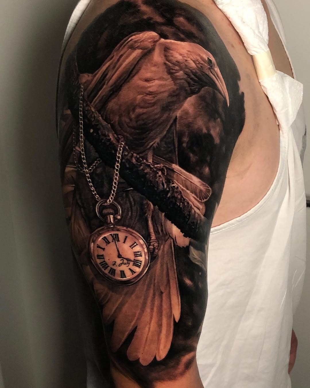 Animal