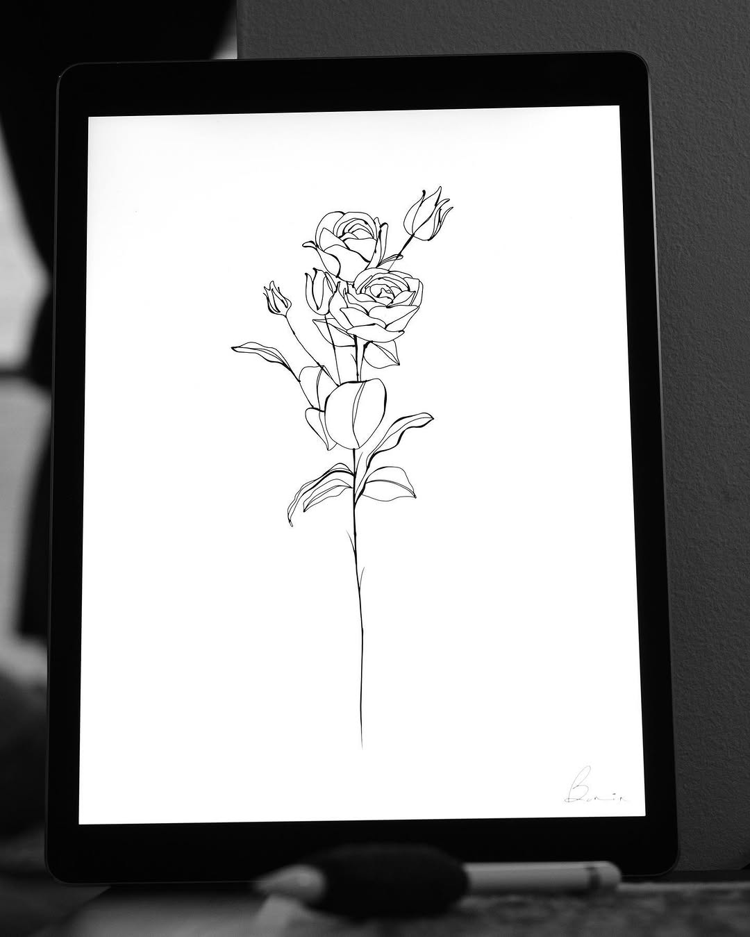 Flower, Rose