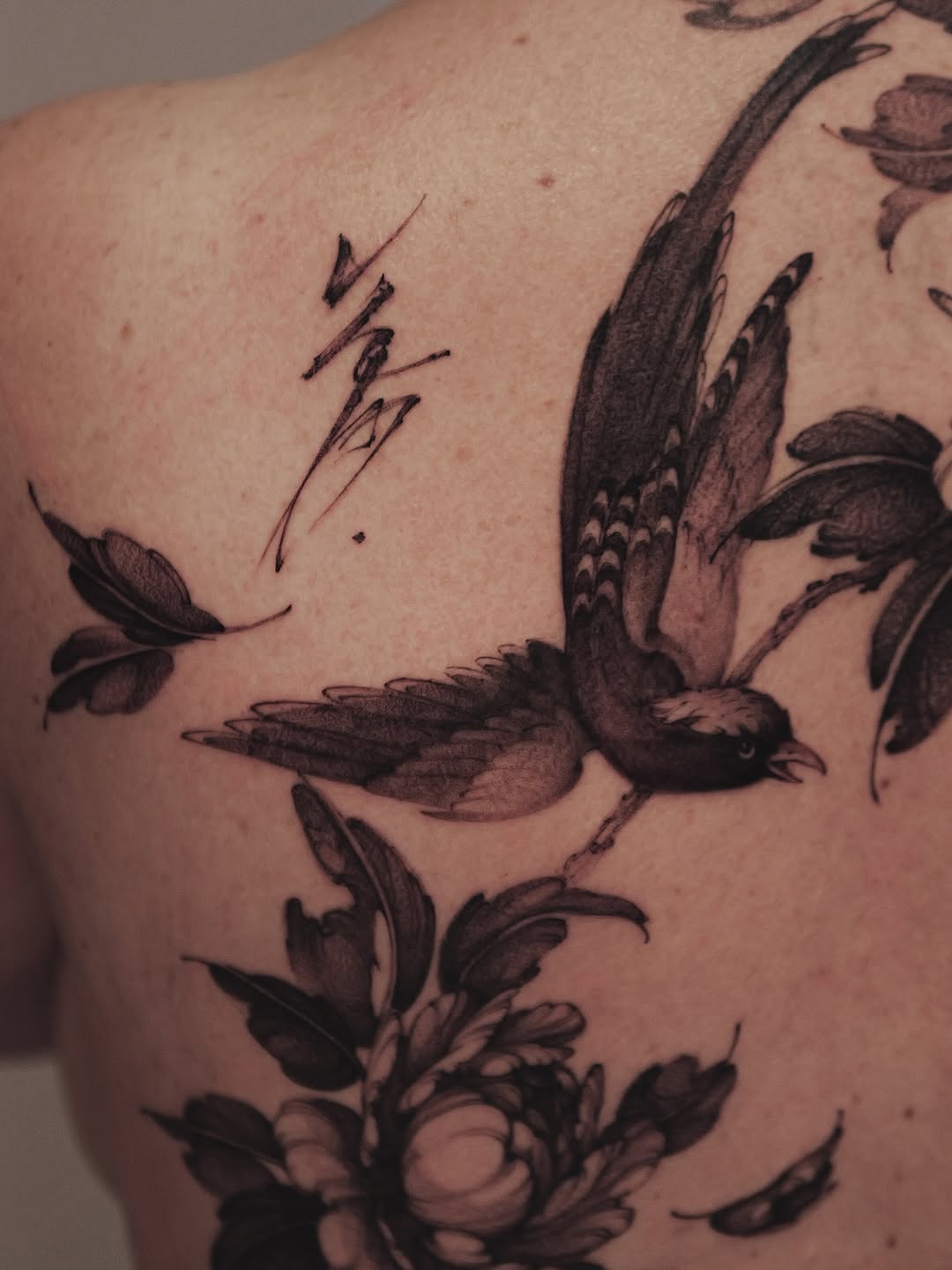 Flower, Nature, Rose