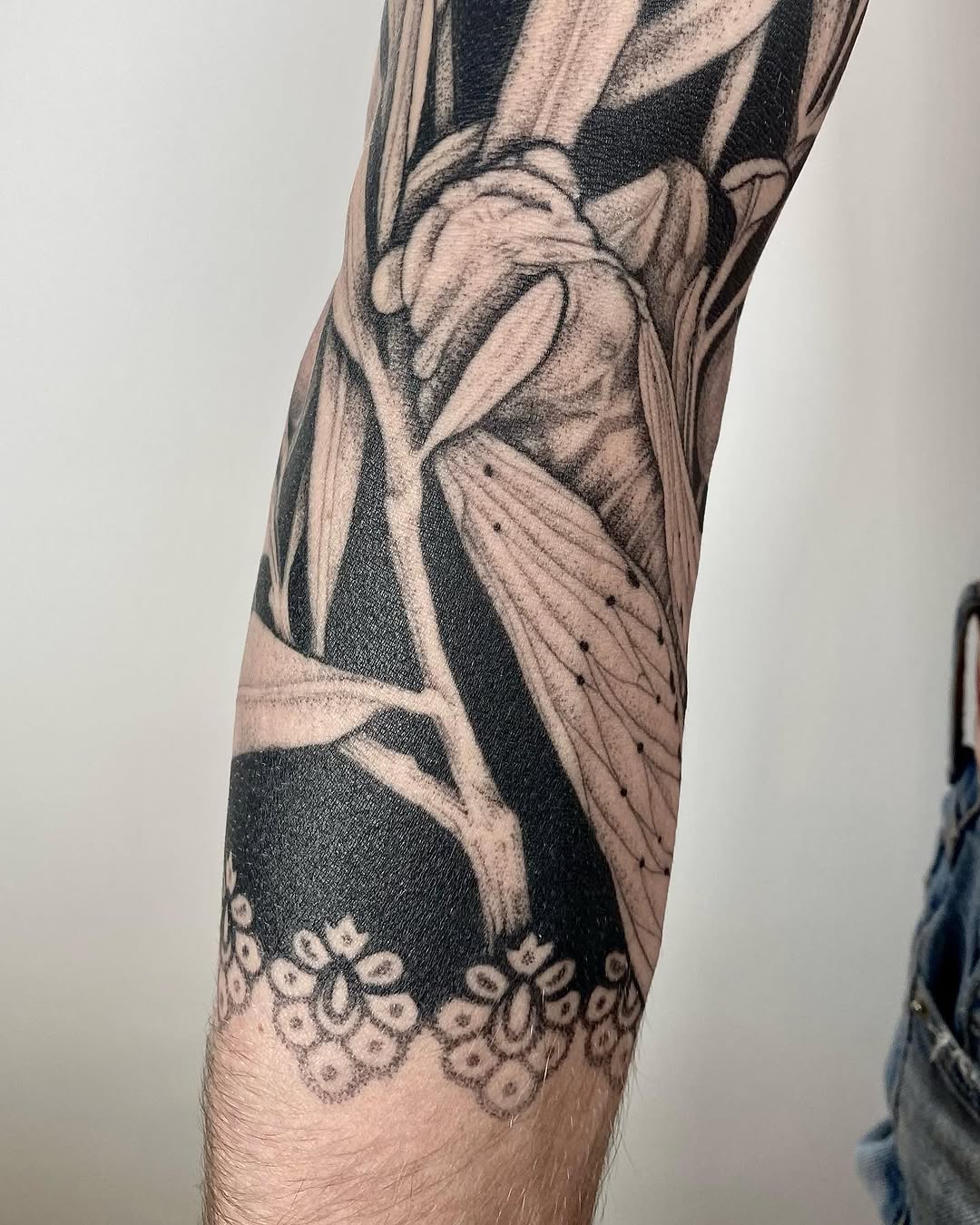 Flower, Animal, Nature, Rose