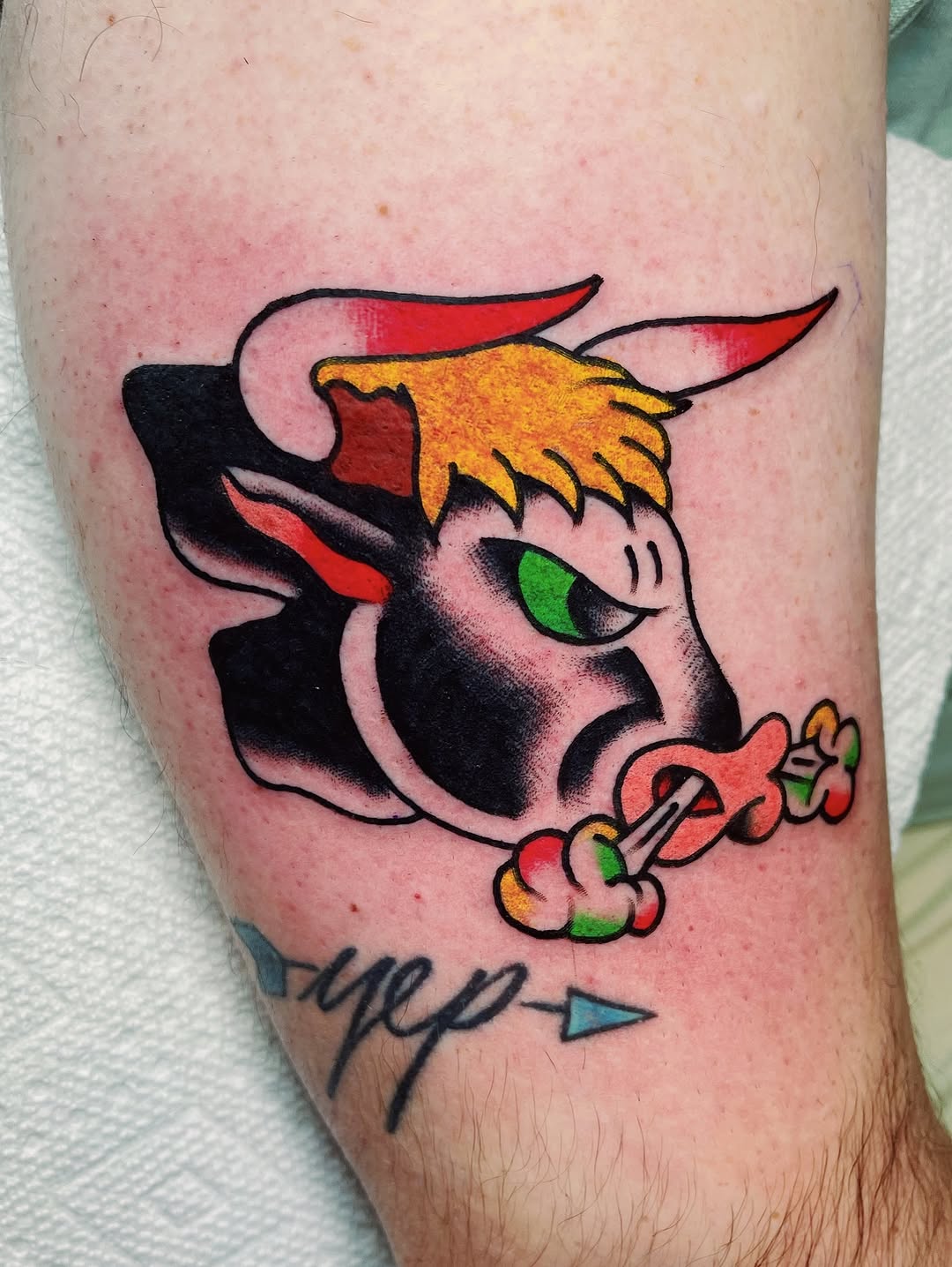 darius_cappelli
