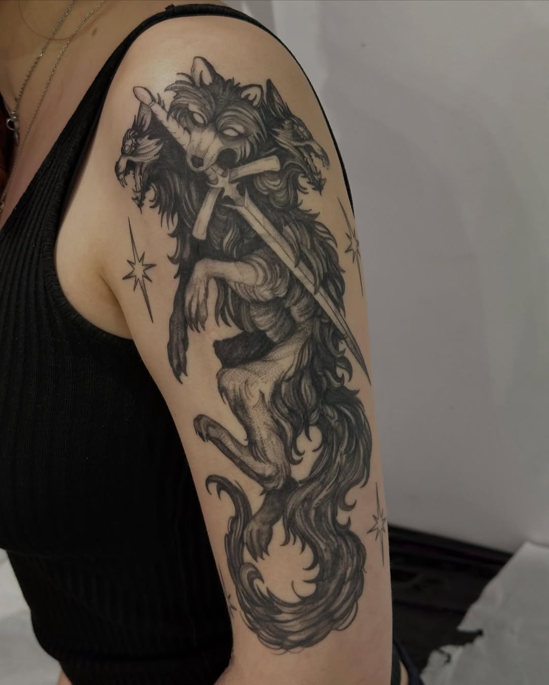 Dragon, 드래곤 라이더