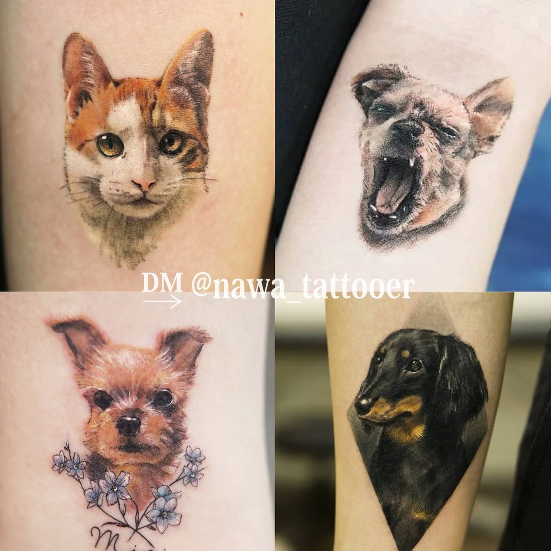 반려동물, 고양이