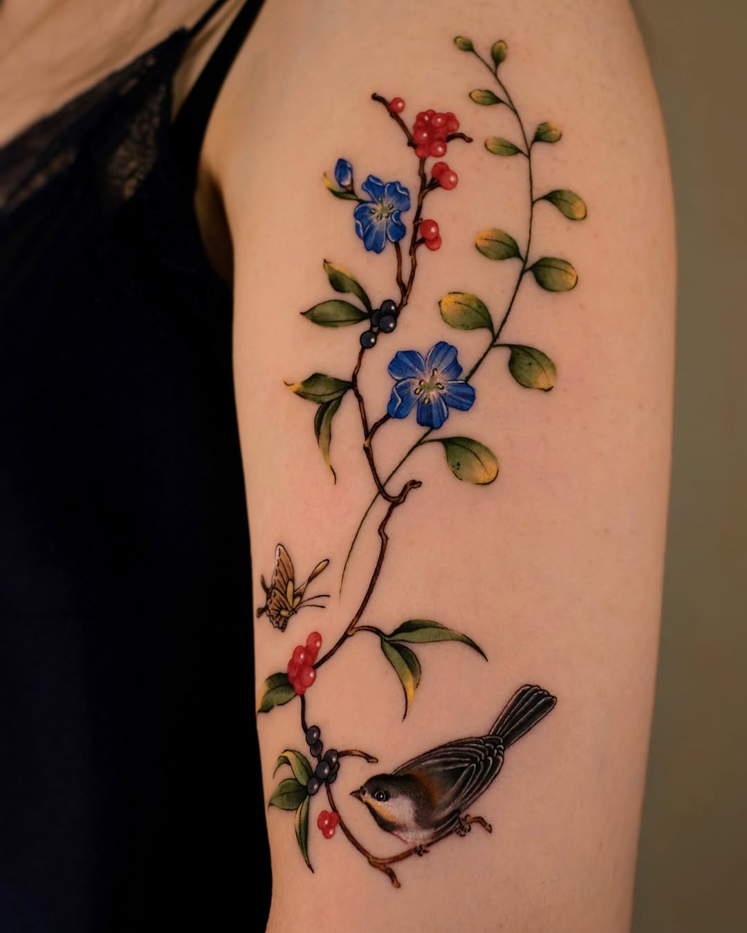 Flower, Rose, Nature