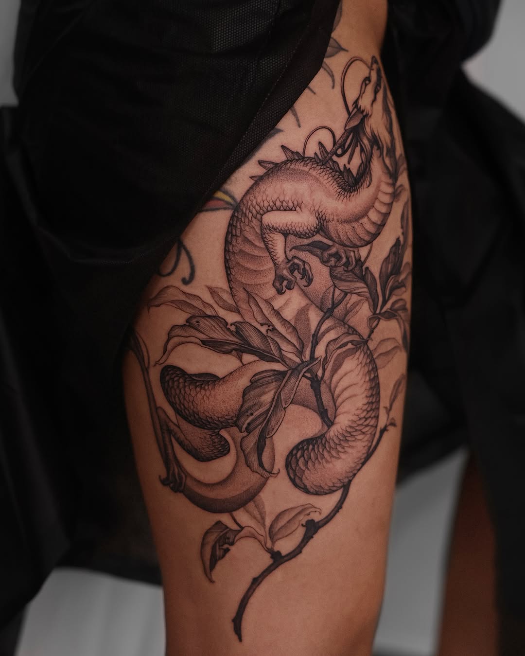 Dragon