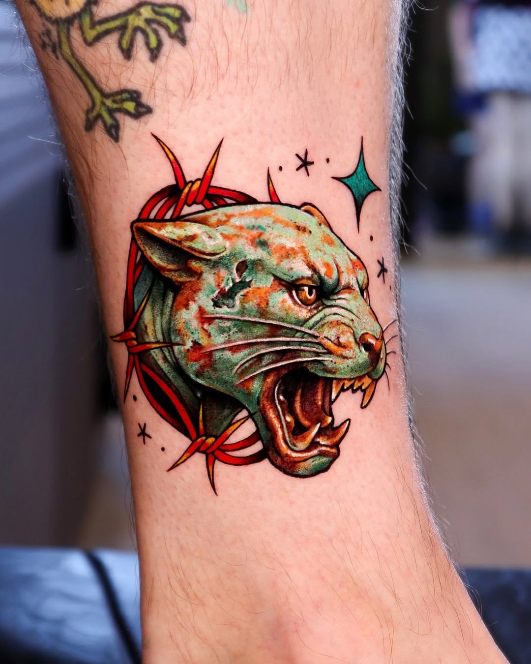 Tiger, Animal