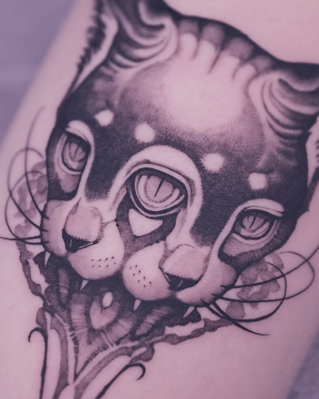 Animal, Tiger
