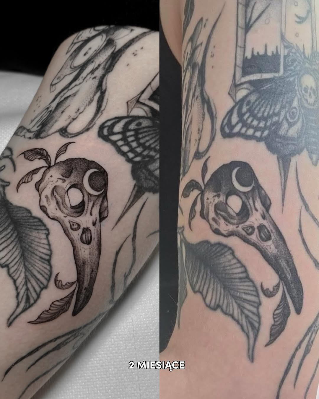 sve.tattoo