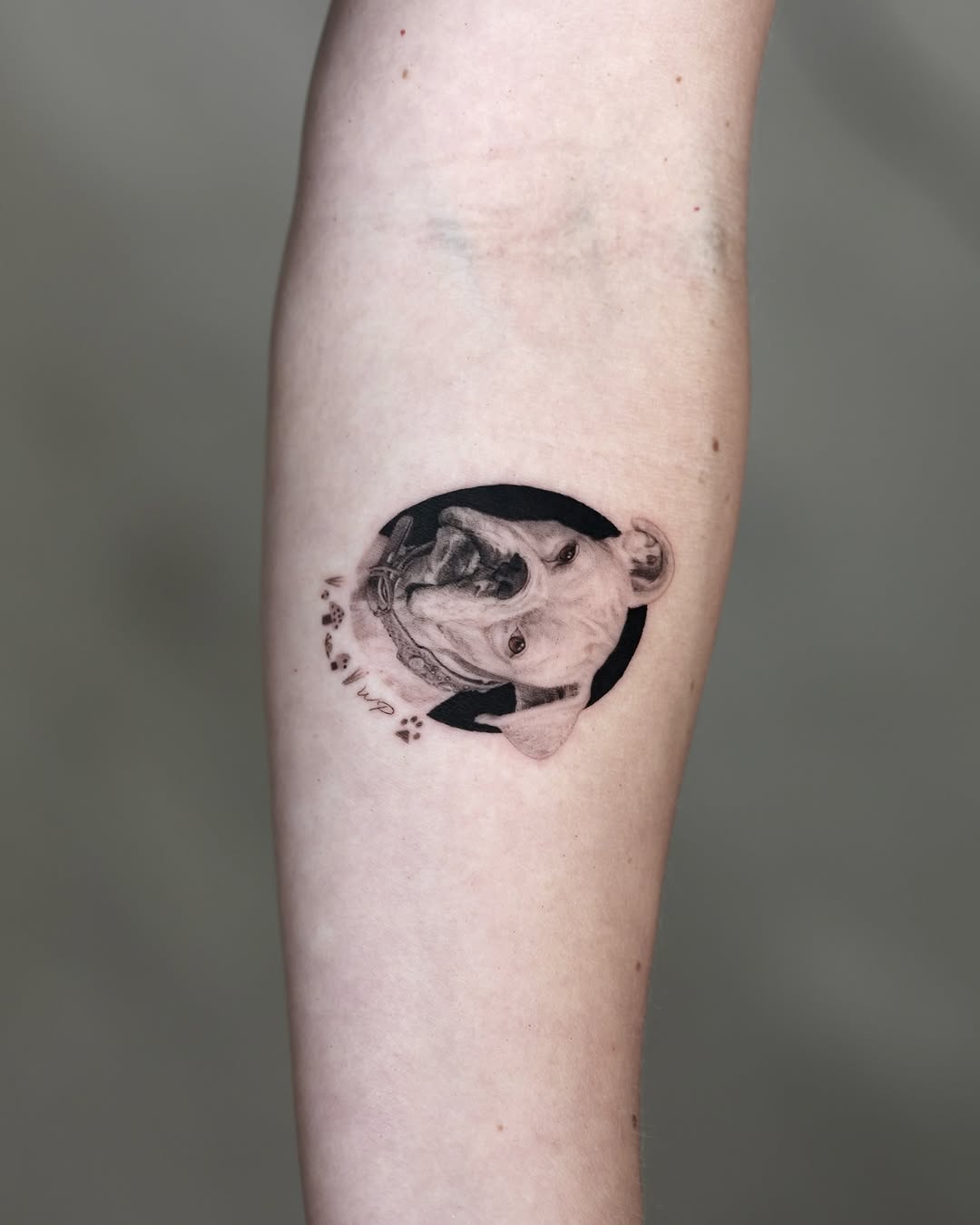 LA Tattoo Yeono