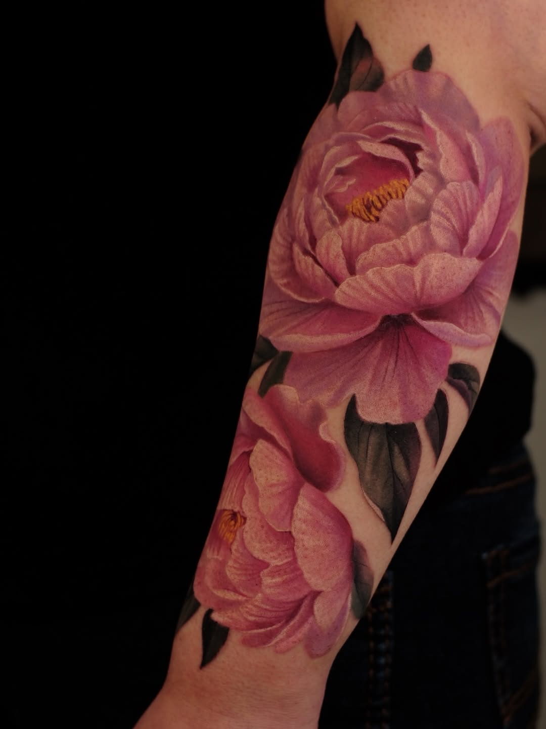 Flower, Rose, Nature, Dragon