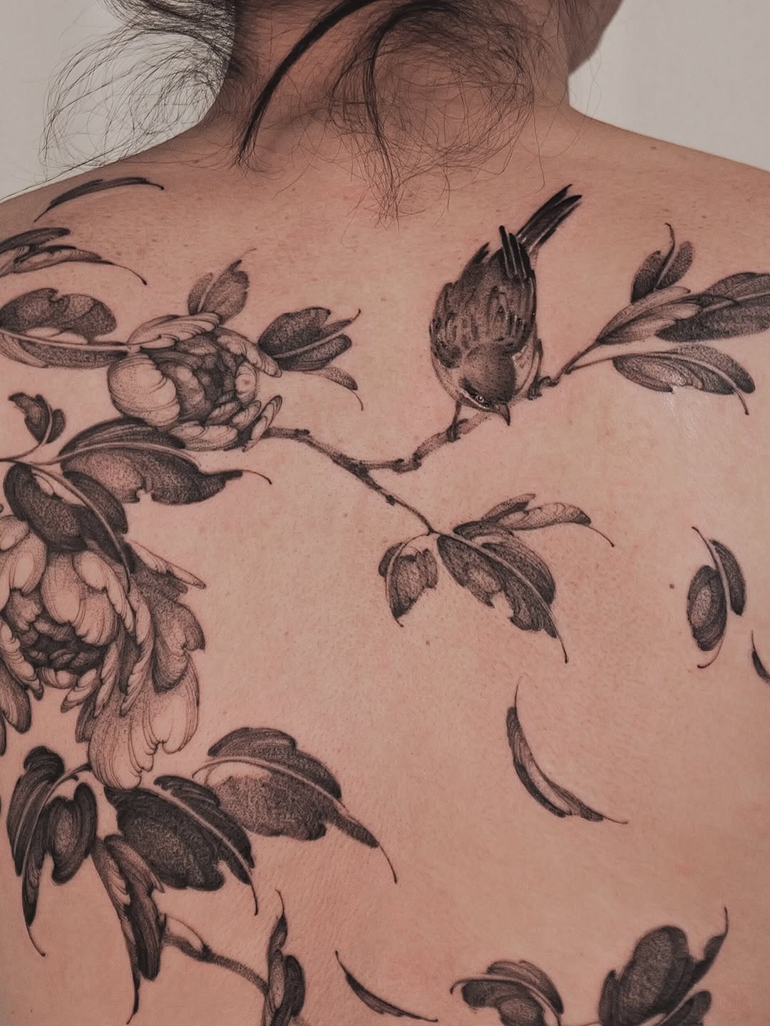 Flower, Nature, Rose