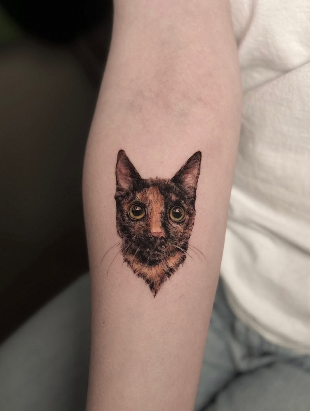 Animal