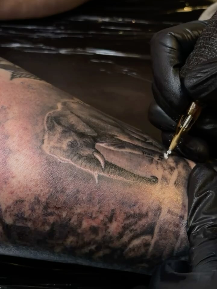 Tiger