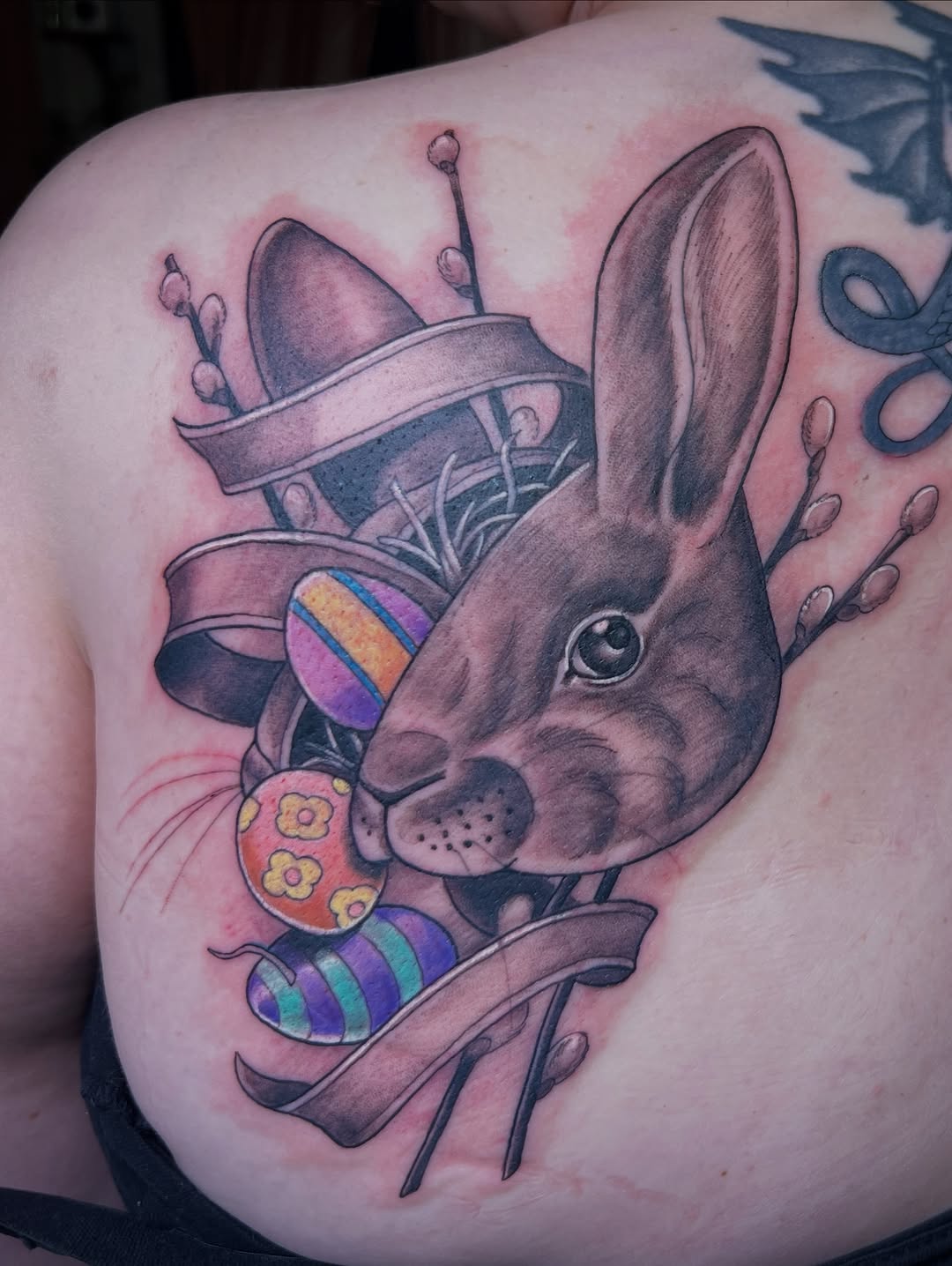 Animal, Dragon