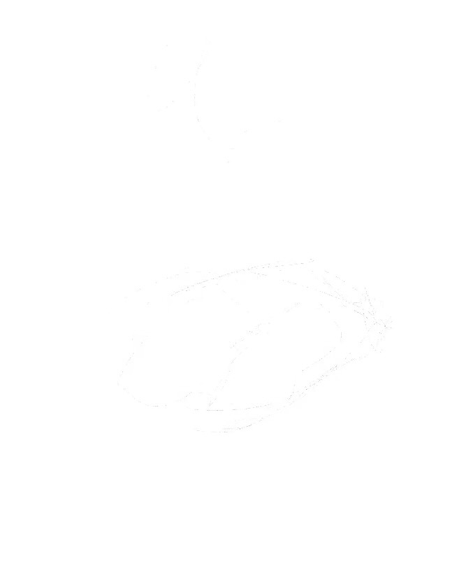 lifo_art