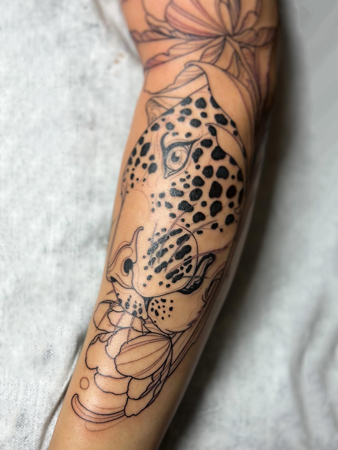 Tiger, Animal