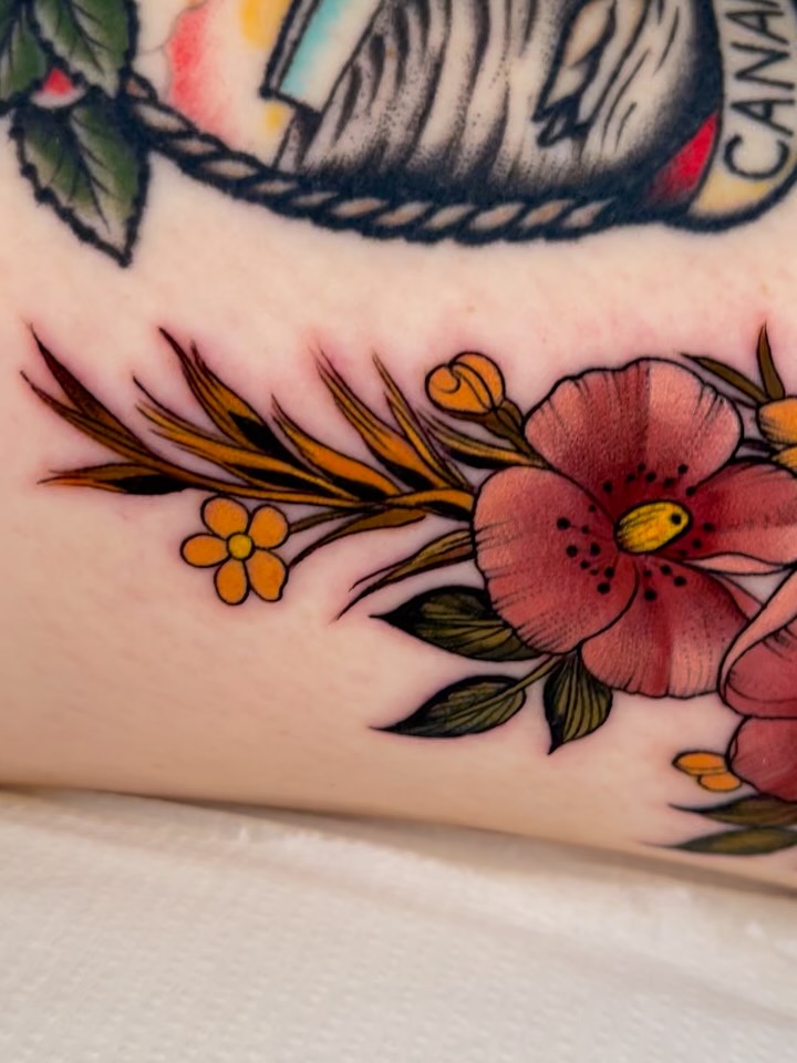 Flower, Rose