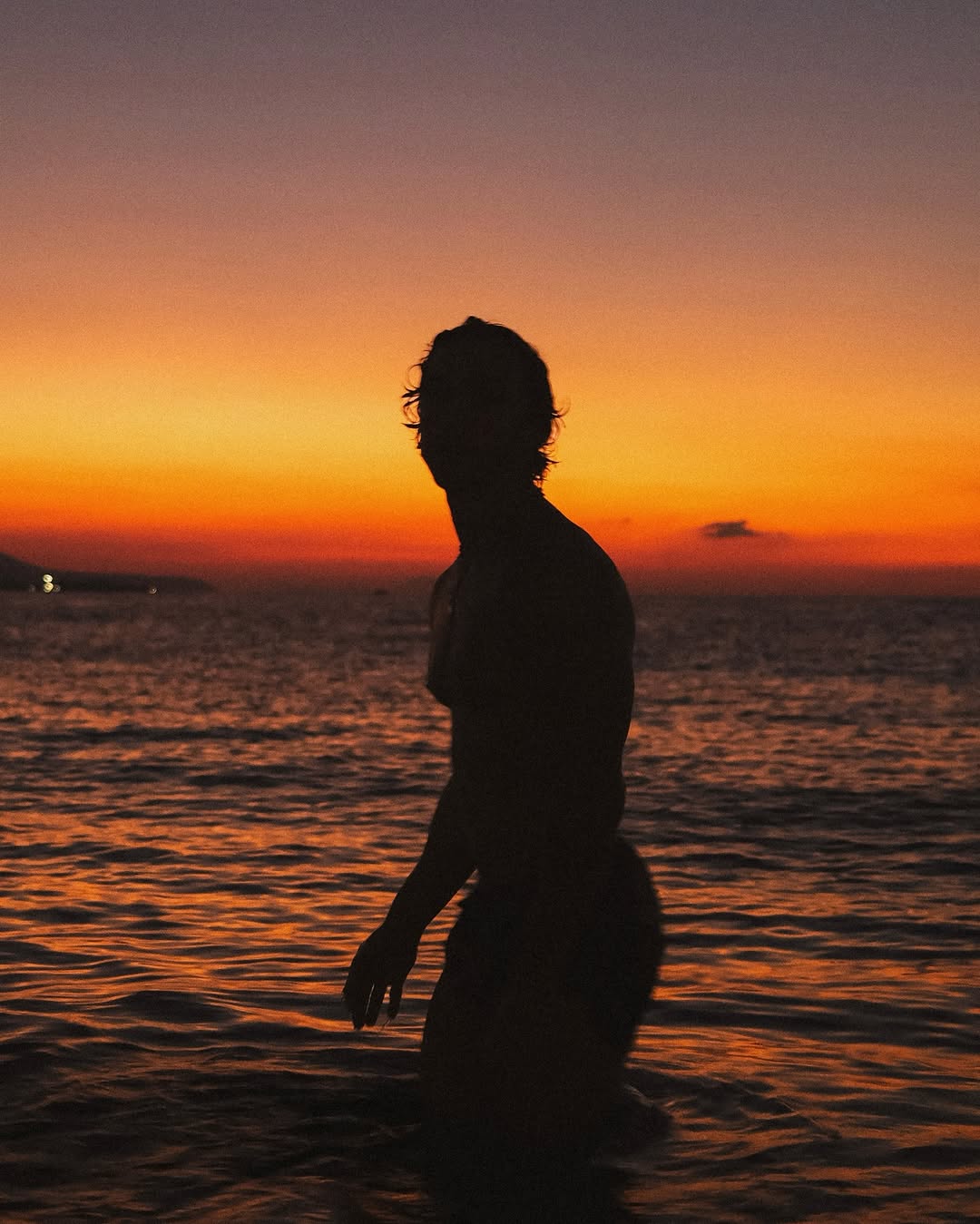 A n d r e a  P e l l e r o n e