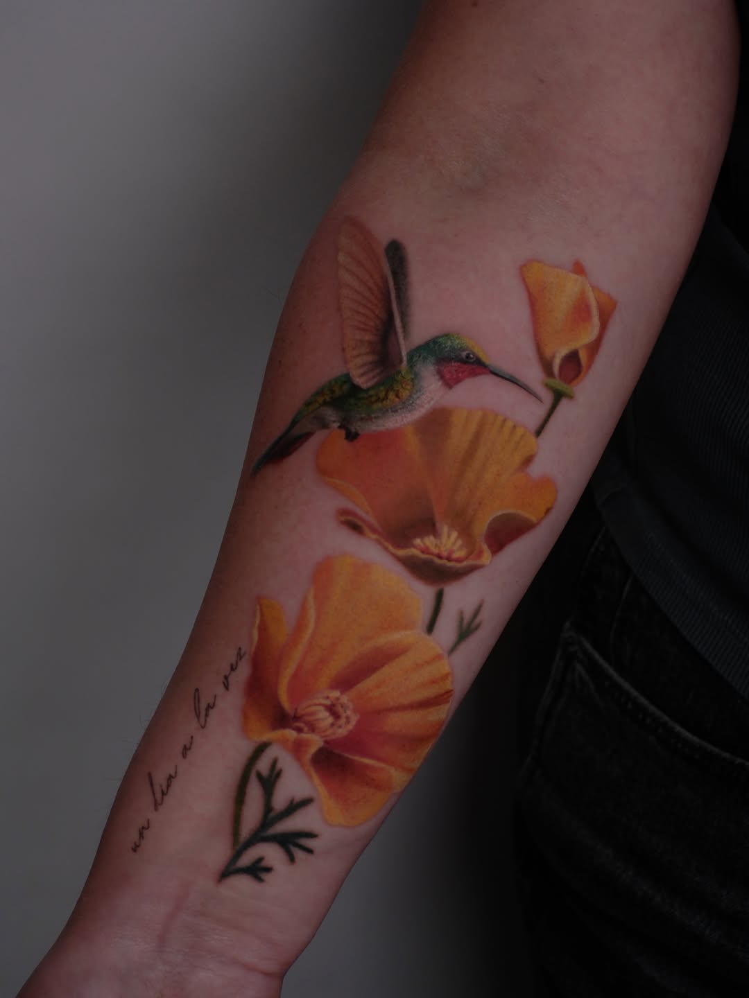 Flower, Rose, Nature, Dragon
