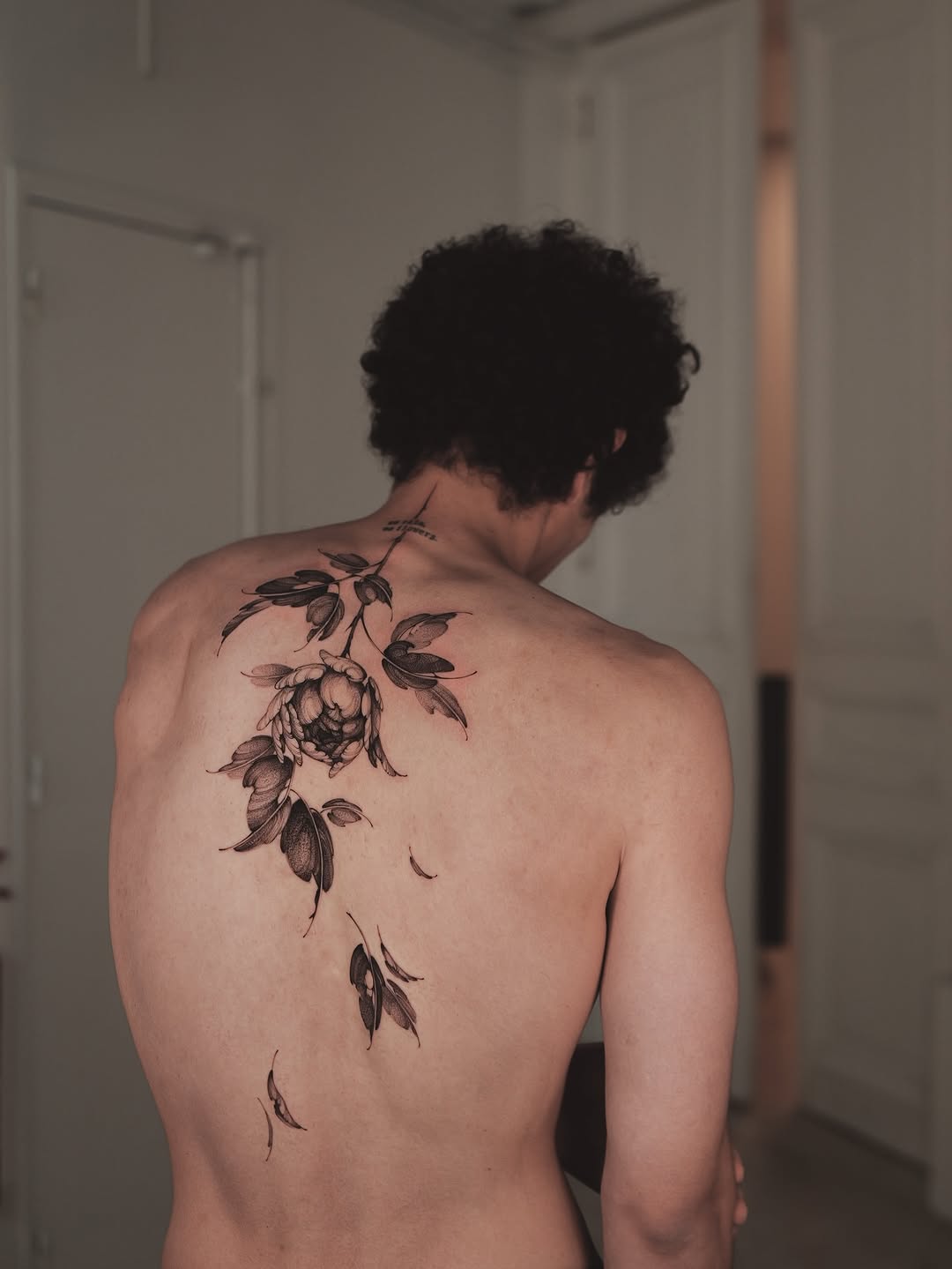 Nature, Rose, Flower