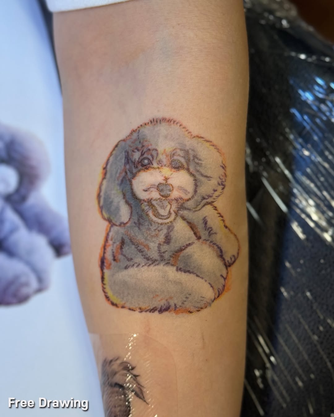 반려동물, Animal