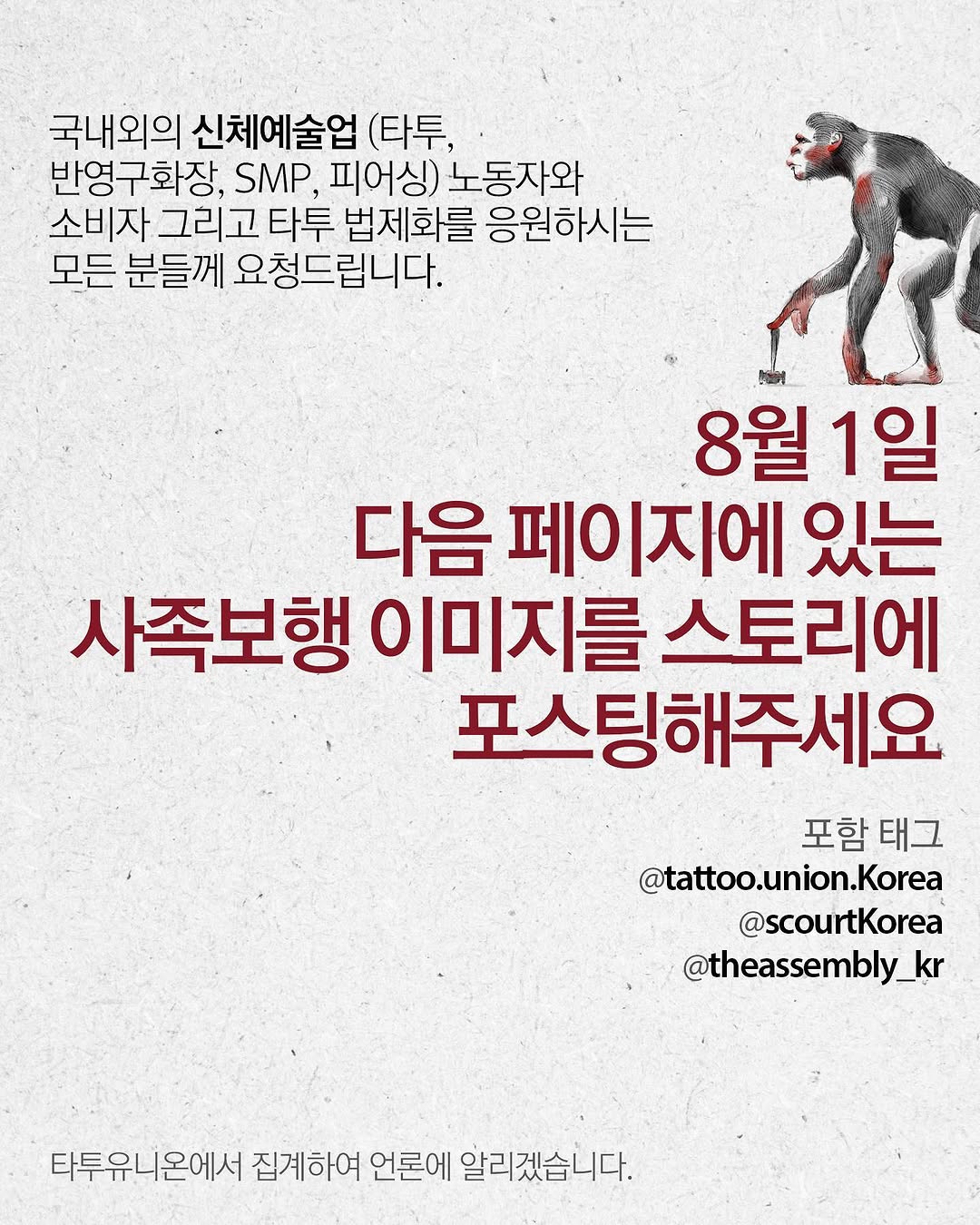 Animal, Tiger, 원숭이, 고릴라