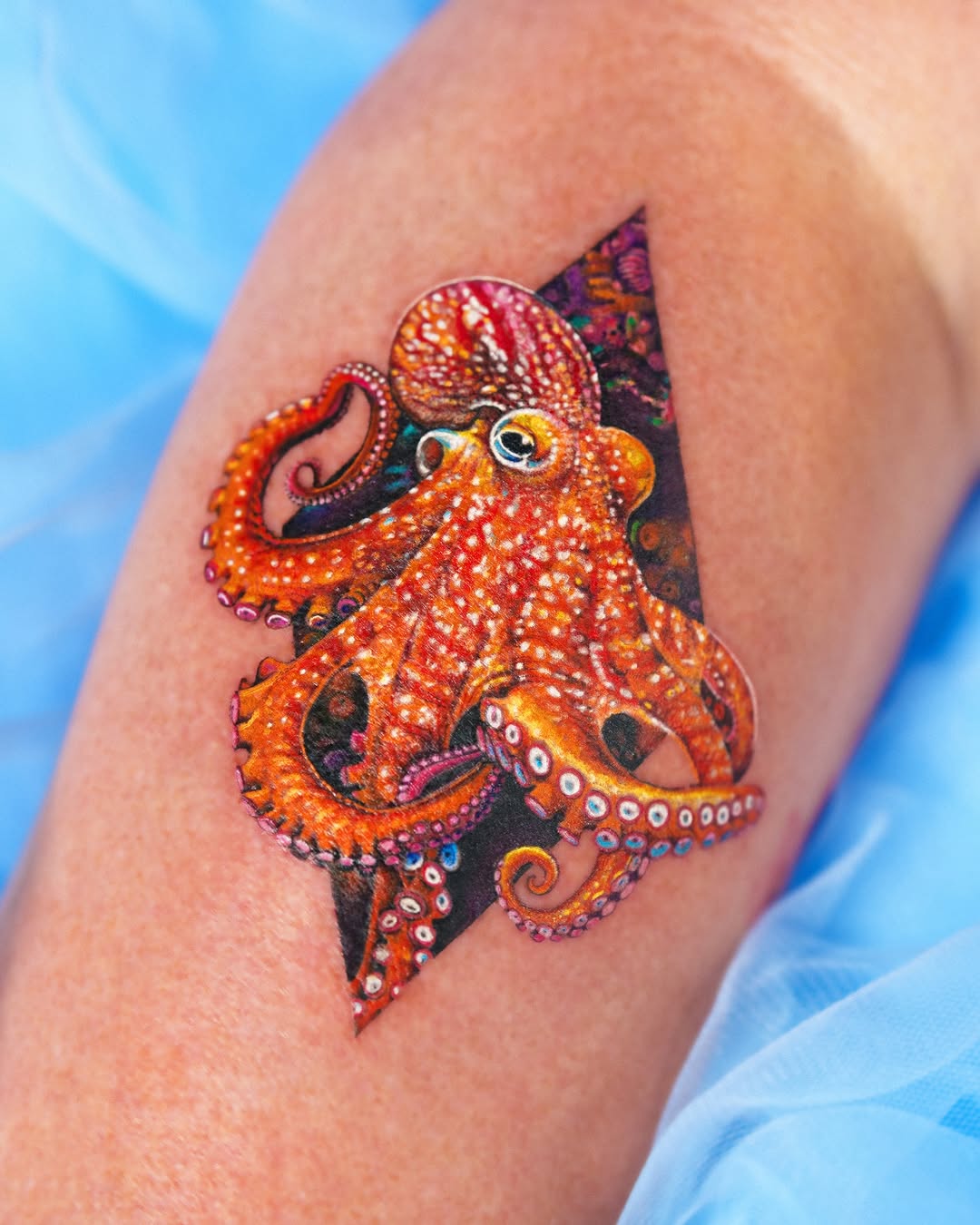 Animal, 크라켄, 문어, 오징어