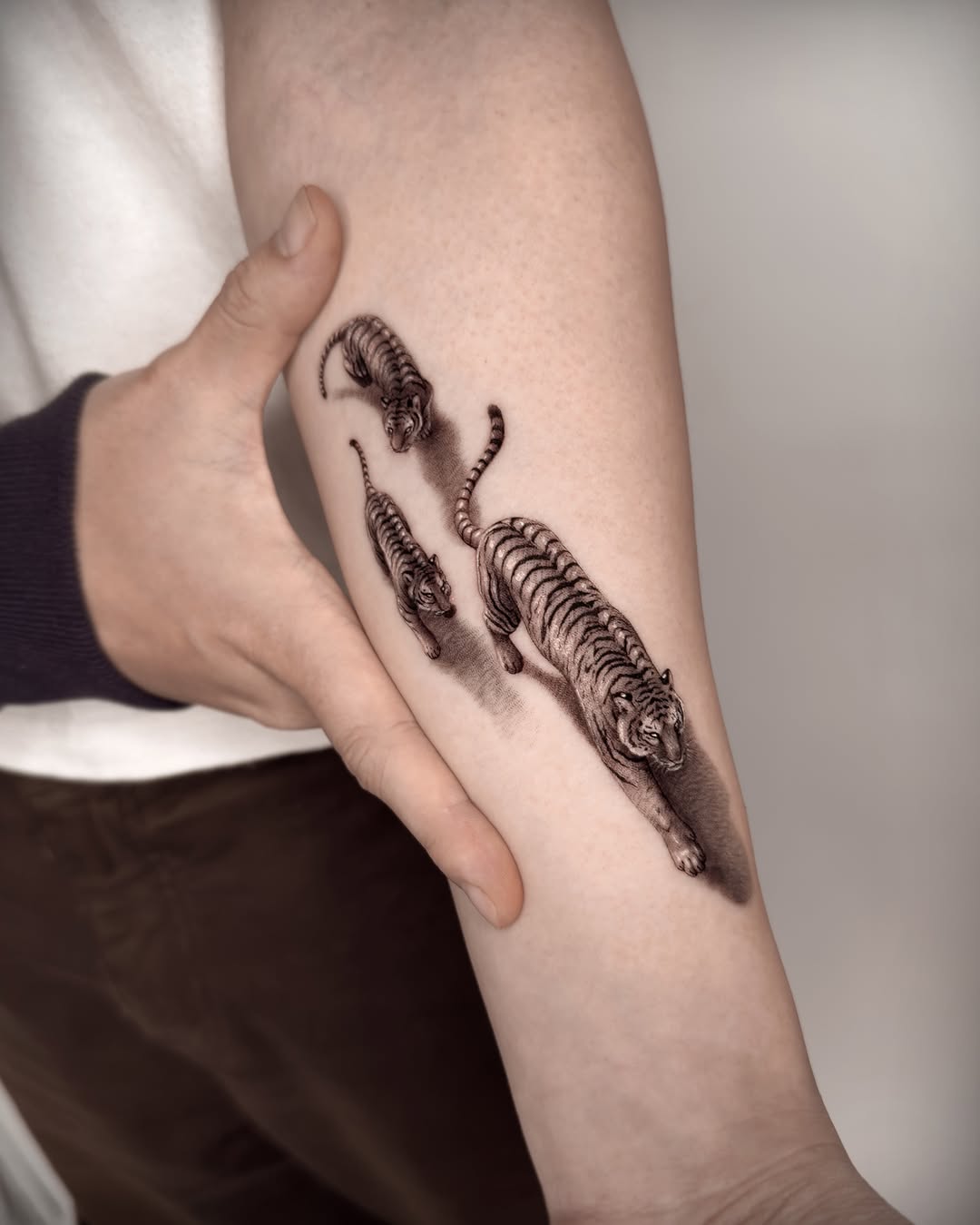 Tiger