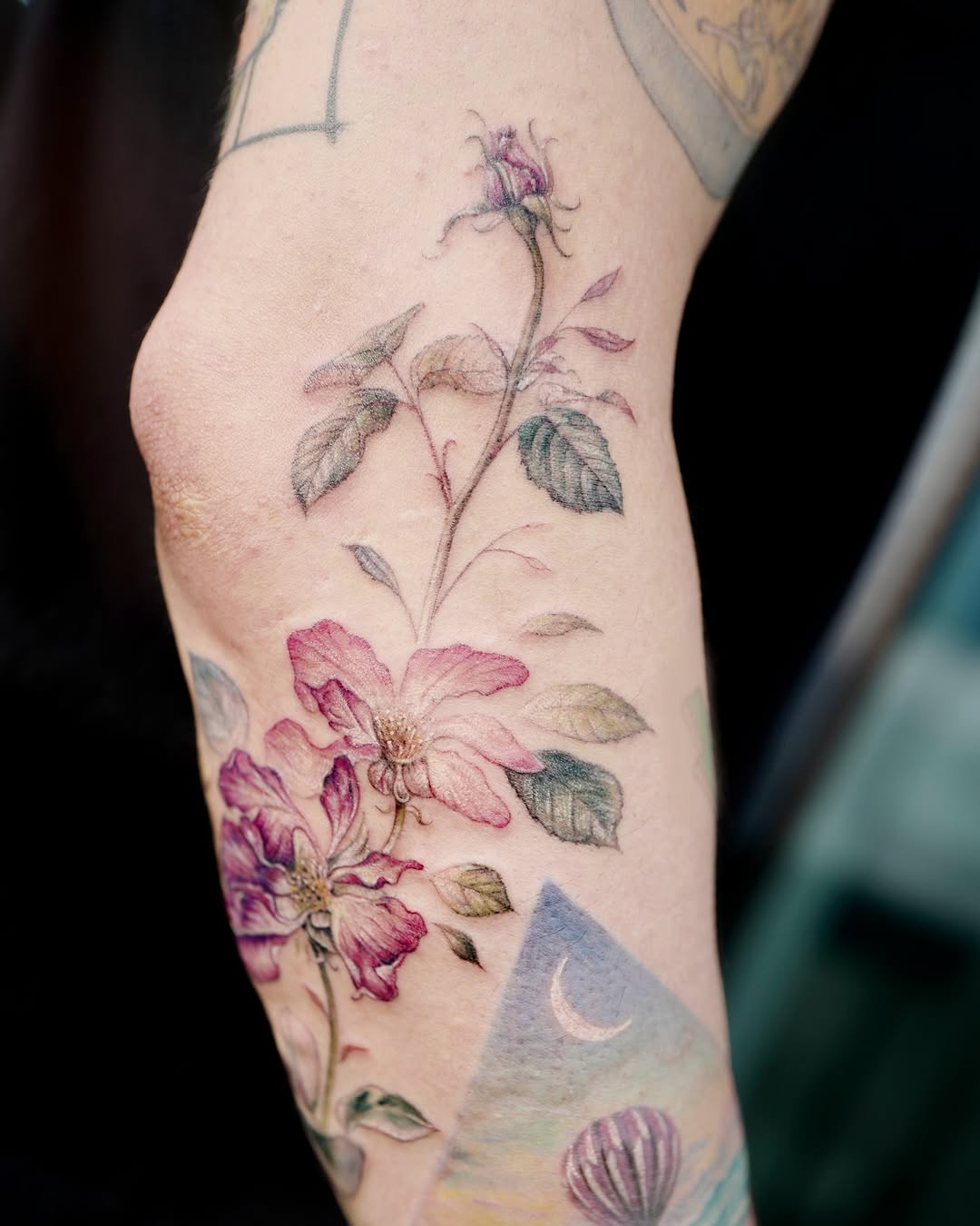Flower, Rose