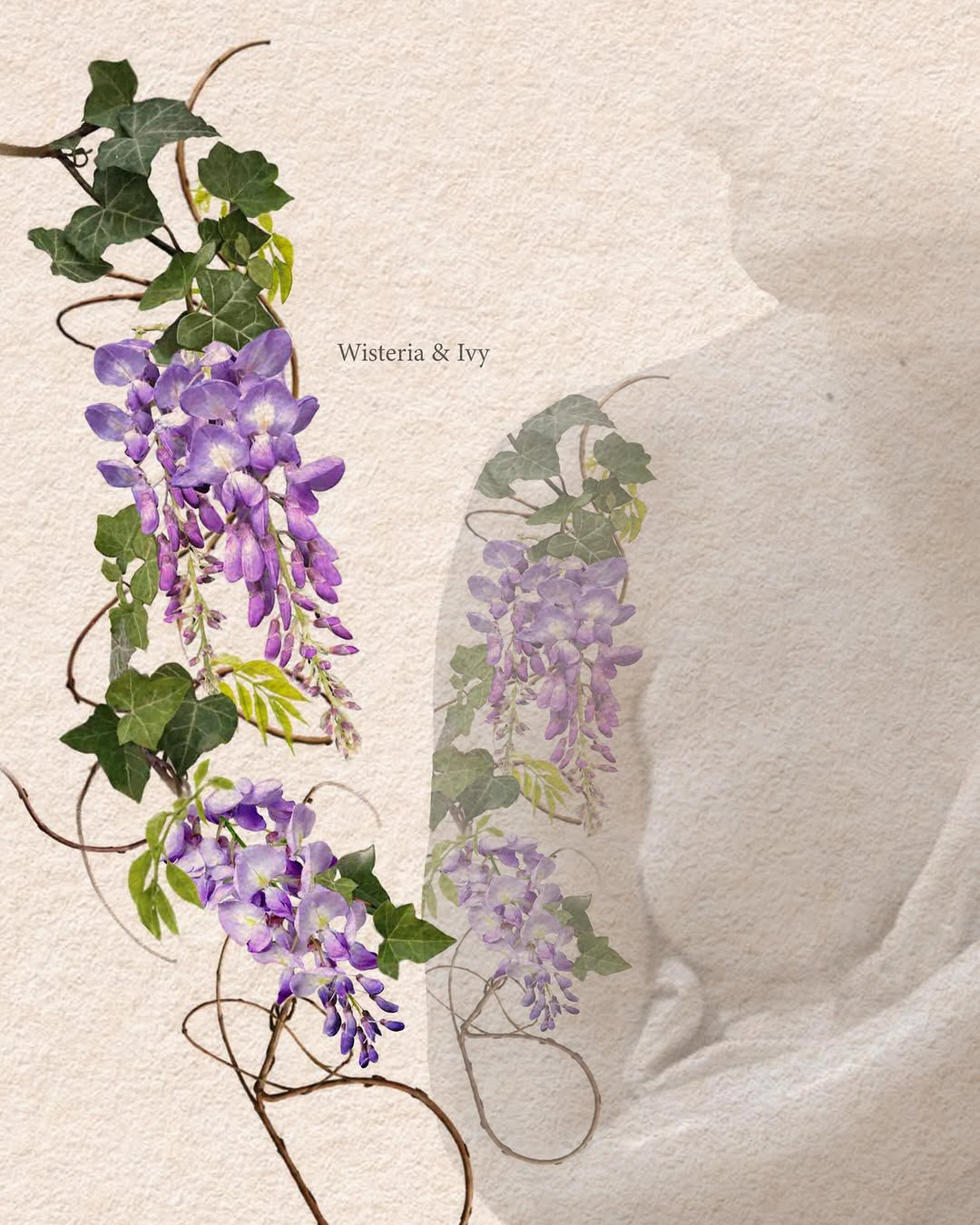 Flower, Animal