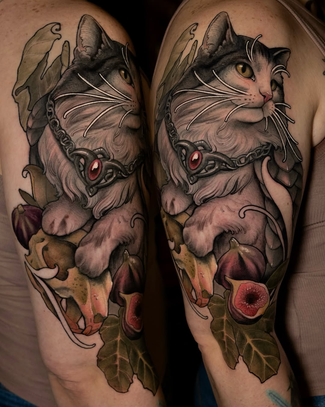 Animal