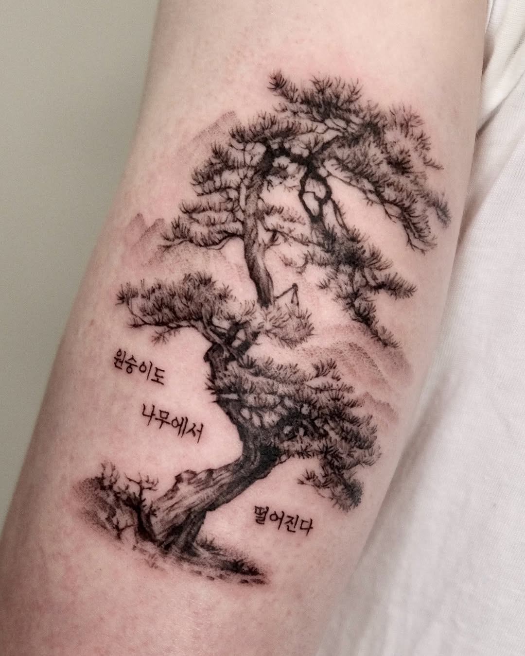 Nature, 나무, 수묵화