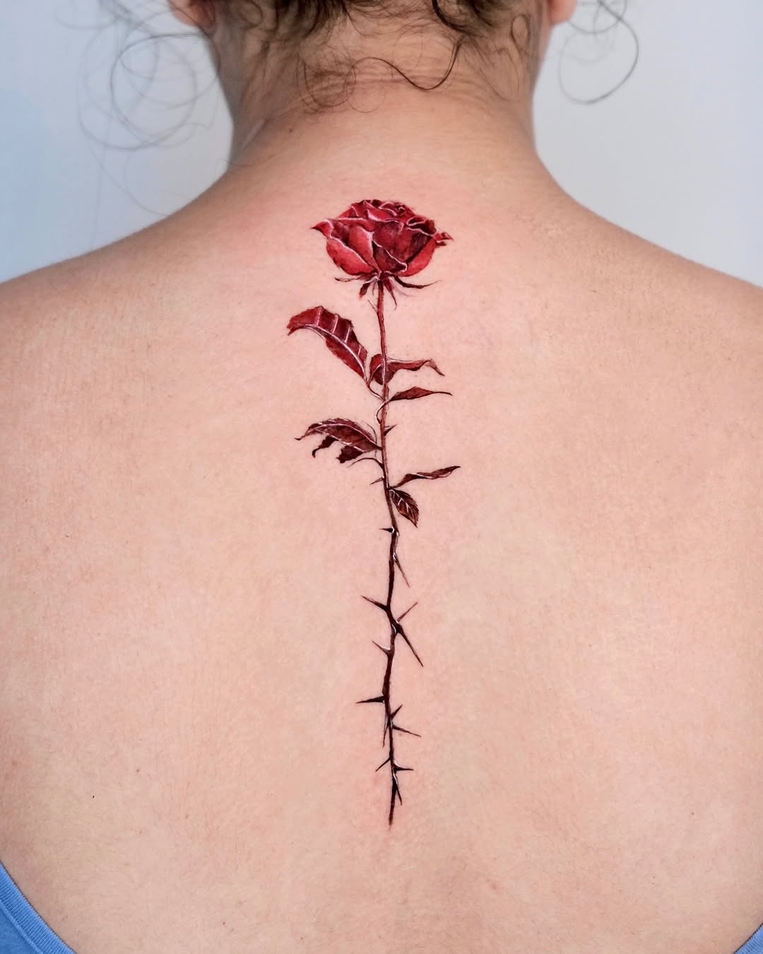 Flower, Rose, Nature