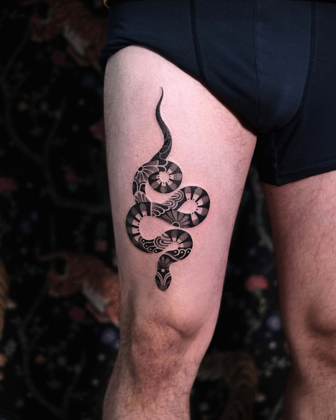 Dragon, Snake