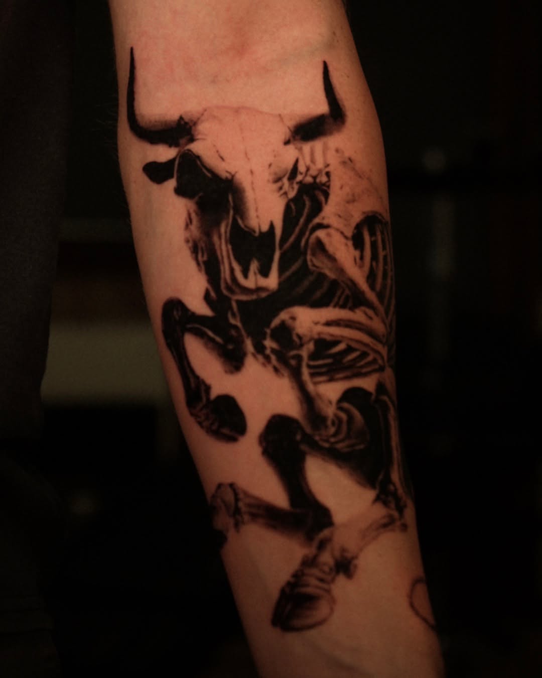 황소, 양, 소, 염소