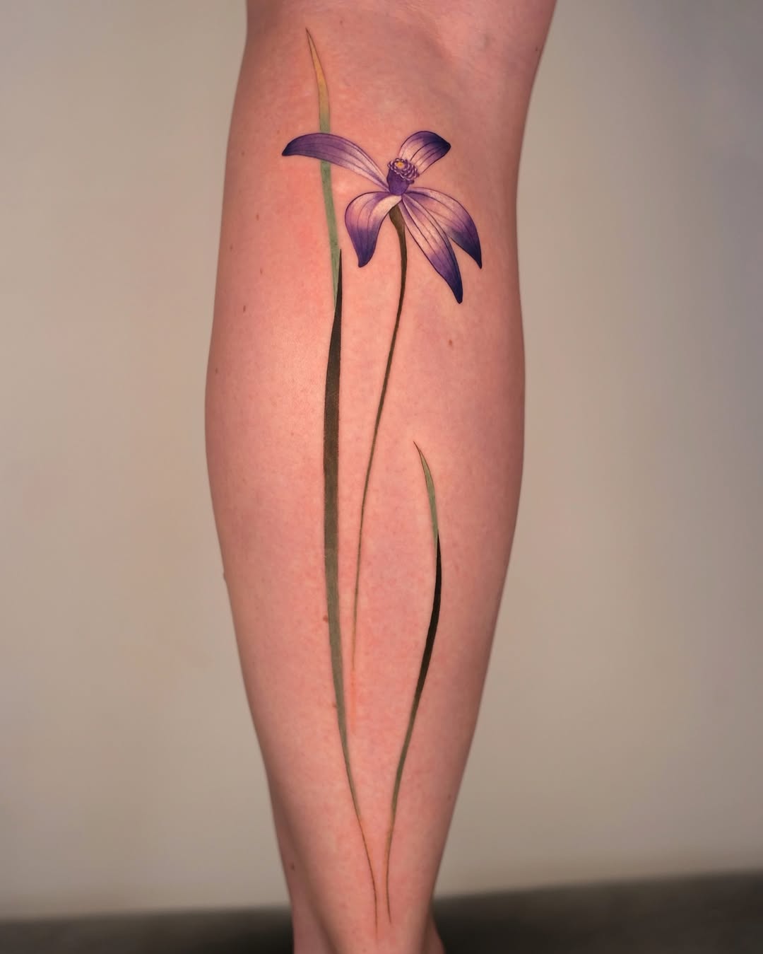 Flower, Rose, Nature