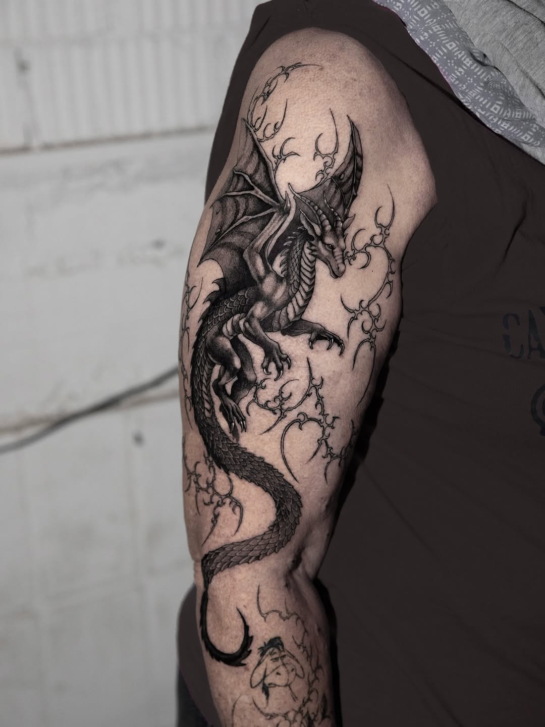 Dragon, 드래곤 라이더