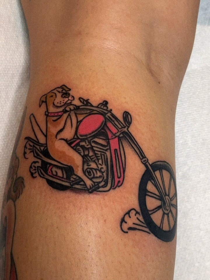 Lettering, 자전거, 오토바이