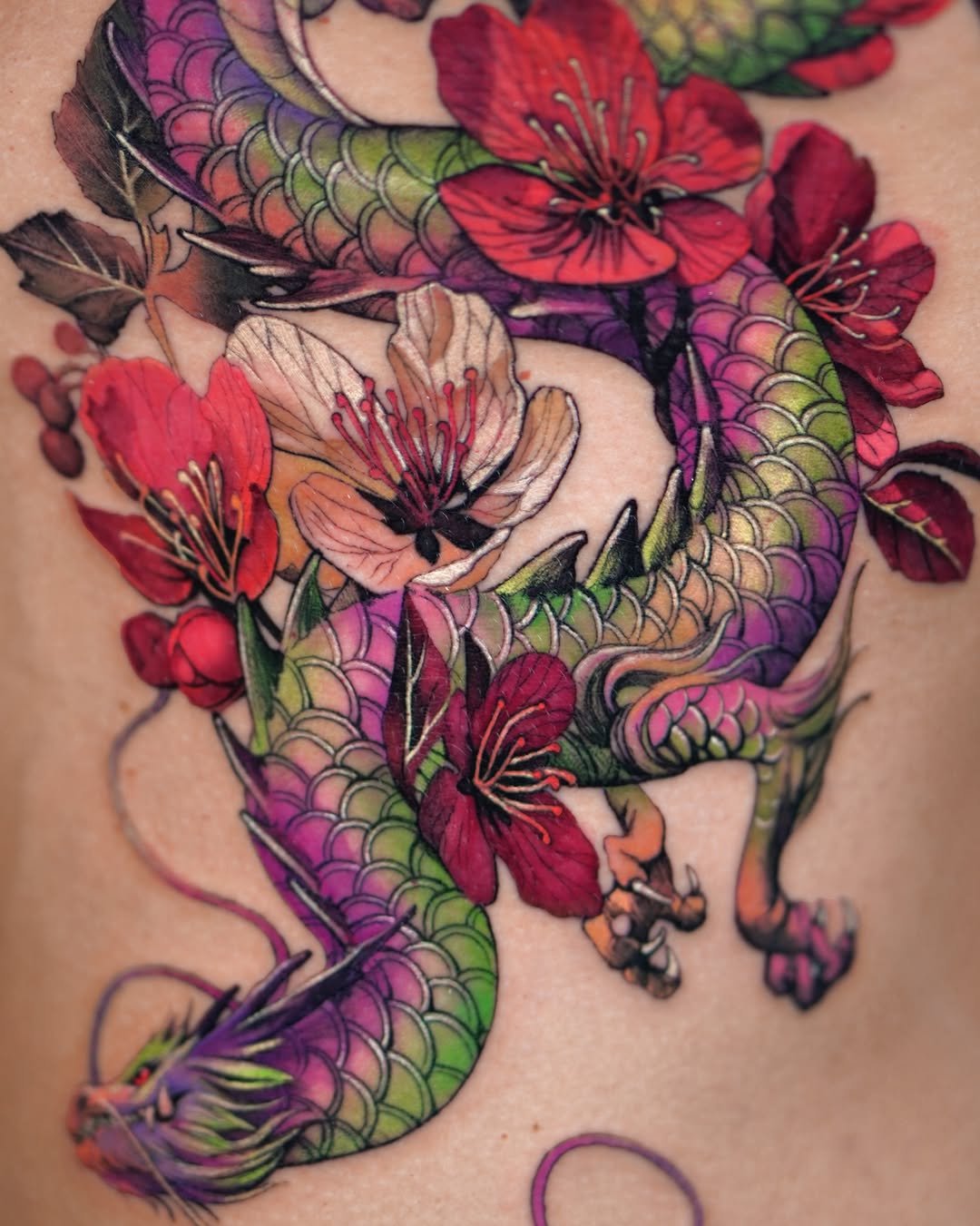 Dragon